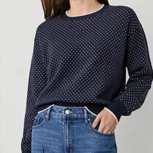 NWOT Ann Taylor Jacquard Wedge Sweater